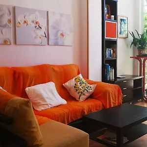 Del Toro Apartamento